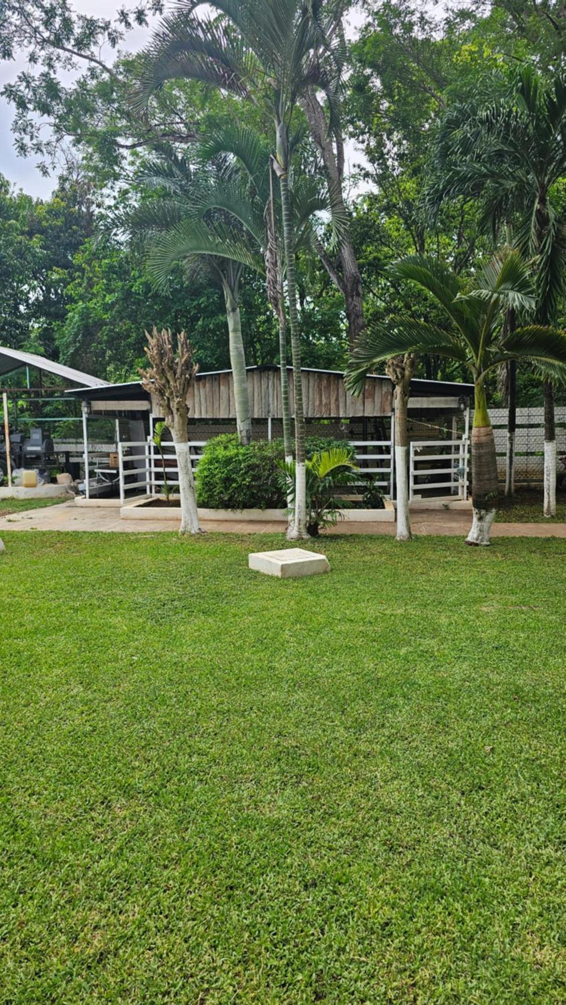 Los Cedros Uayamon ภายนอก รูปภาพ